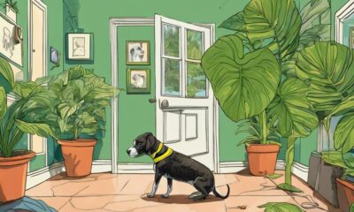 philodendrons and dog safety