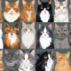 popular cat breeds list