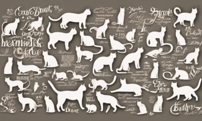popular names for white cats