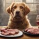 pork safety for dogs