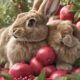 rabbit safe pomegranate feeding guide