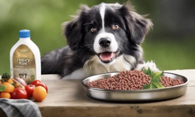 raw dog food benefits