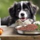 raw dog food benefits