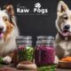 raw dog food recipes