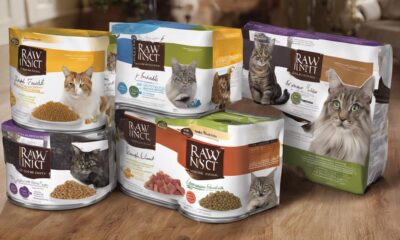 raw instinct cat food