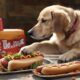 safe hot dogs for dogs