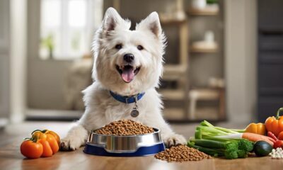 soft dog foods for seniors