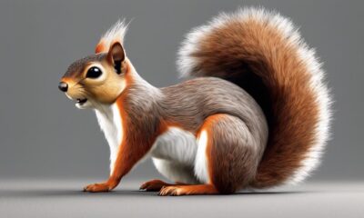 squirrel like animal identification guide