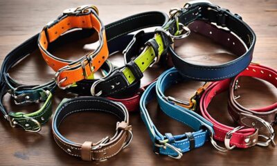 top 5 bousnic collars