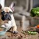 top dog food choices