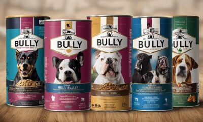 top dog food picks