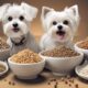 top dog foods for maltese