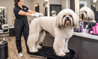 top dog groomers mooresville