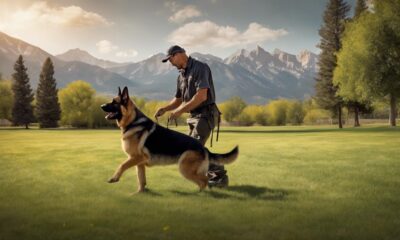 top dog training jobs