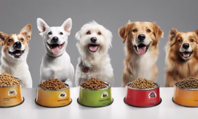 top rated raw dog food