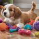 top rated toys for dogs