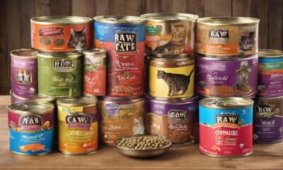 top raw cat food