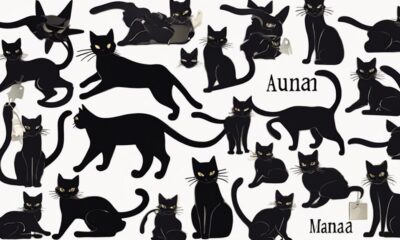 unique black cat names