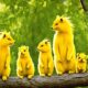 yellow animals