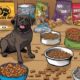 budget friendly dog food choices