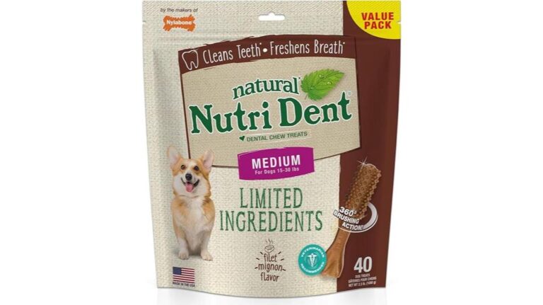 15 Best Dog Food Kibble Brands Your Pup Will Love - Top Picks for 2025 ...