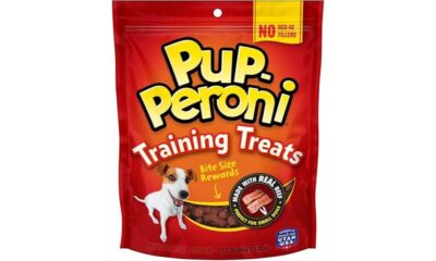 dog treats product review