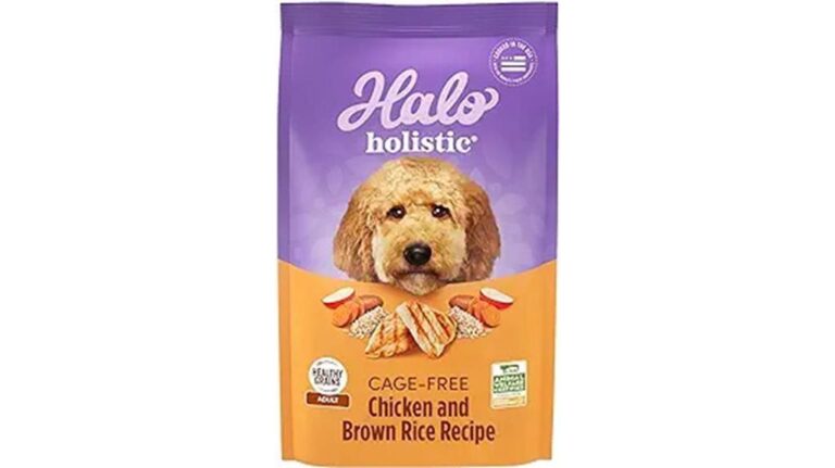 15 Best Dog Food Kibble Brands Your Pup Will Love - Top Picks for 2025 ...