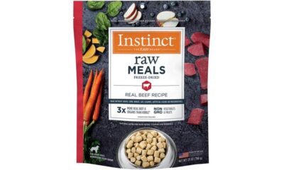 highly rated raw dog food