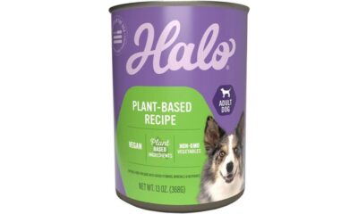 nutritious vegan dog food