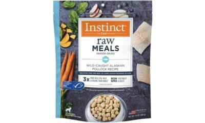 pets natural diet options