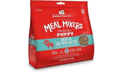 puppy meal mixers evaluation