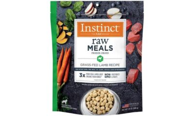 raw meals for dogs