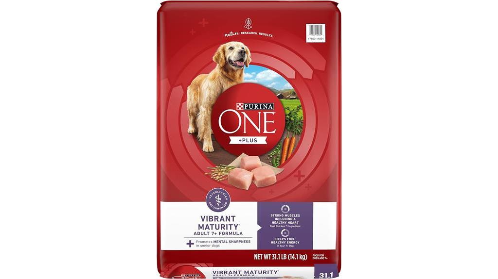 Curated visual reference: Picture Idea: 15 Best Dog Foods For Senior Dogs With Bad Teeth