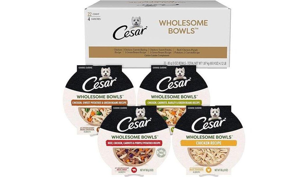 tasty wholesome cesar bowls