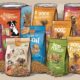 top puppy foods list