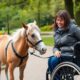 miniature horse as service animal