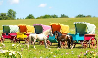 miniature horse cart sales