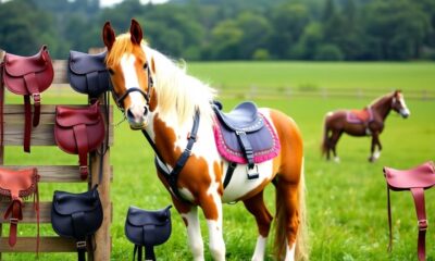 selecting mini horse saddle