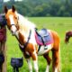 selecting mini horse saddle