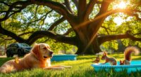 animal summer cooling methods