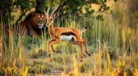 predator avoidance strategies animals