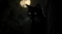 whiskers enhance nocturnal hunting