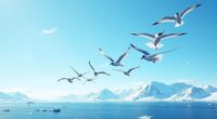animals remarkable migration strategies