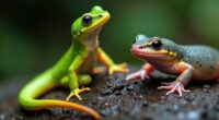 animals with regenerative abilities