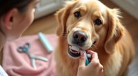 dog dental and coat care