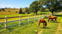 mini horse fencing options