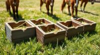 miniature horse feeding options