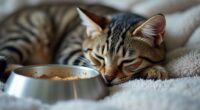 pet illness warning signs