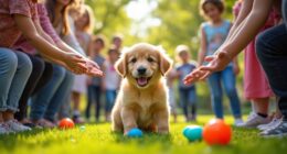 puppy socialization and confidence