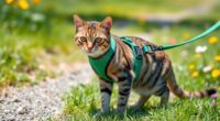top cat harnesses review